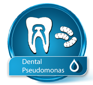 Wassertest Dental-Pseudomonas